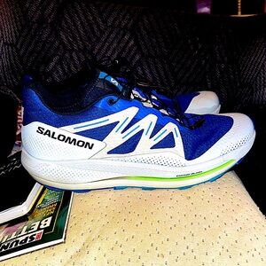 Salomon high end trail shoes. Little wear and tear.
